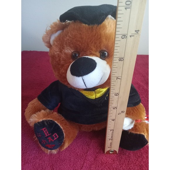 FIESTA TEDDY BEAR GRADUATION. 10" INC - Picture 5 of 5